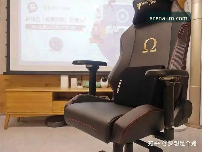 揭秘IM电竞平台：爱慕电竞官网下载背后的真相与用户体验全解析